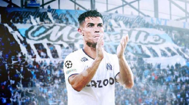 猫咪官网