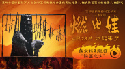 国产一级二级在线观看