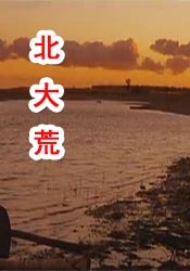 91观看视频
