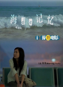 十二个女人